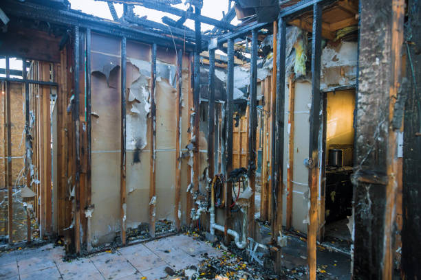 Professional Soot Cleanup technician working in Vine Hill, CA